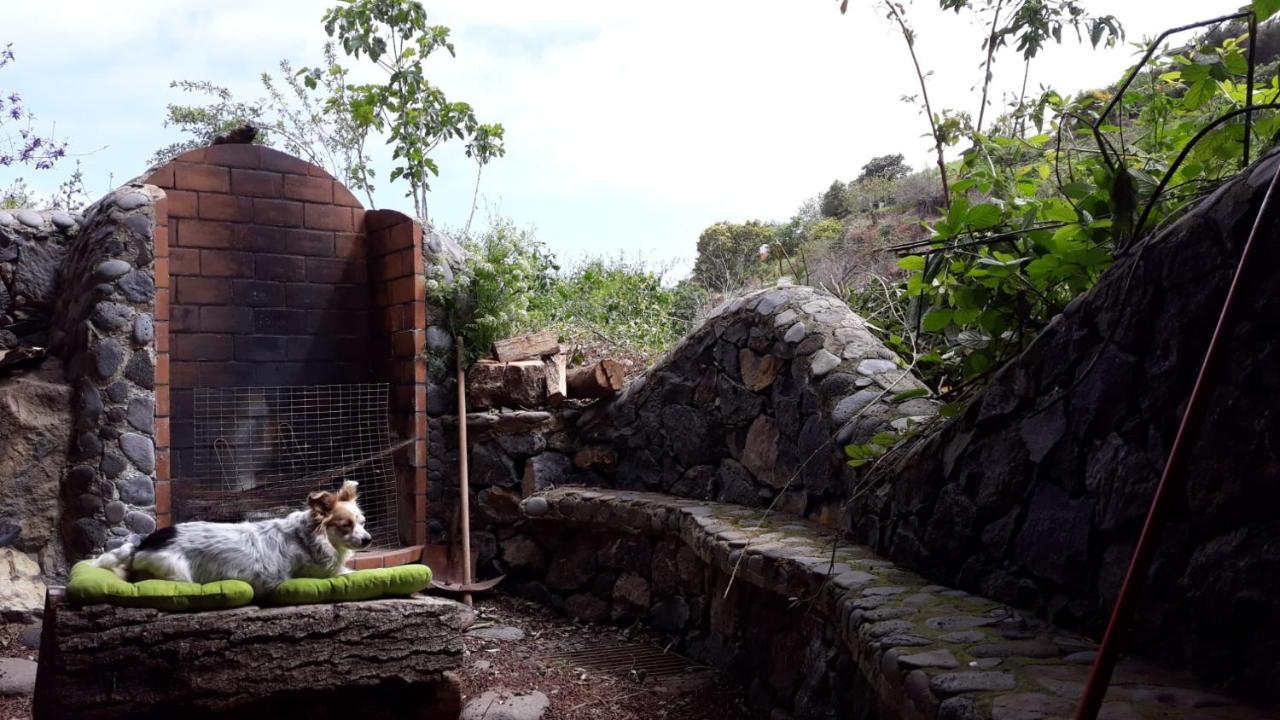 Finca Rural House Tenerife Relax And Enjoy Santa Úrsula Kültér fotó