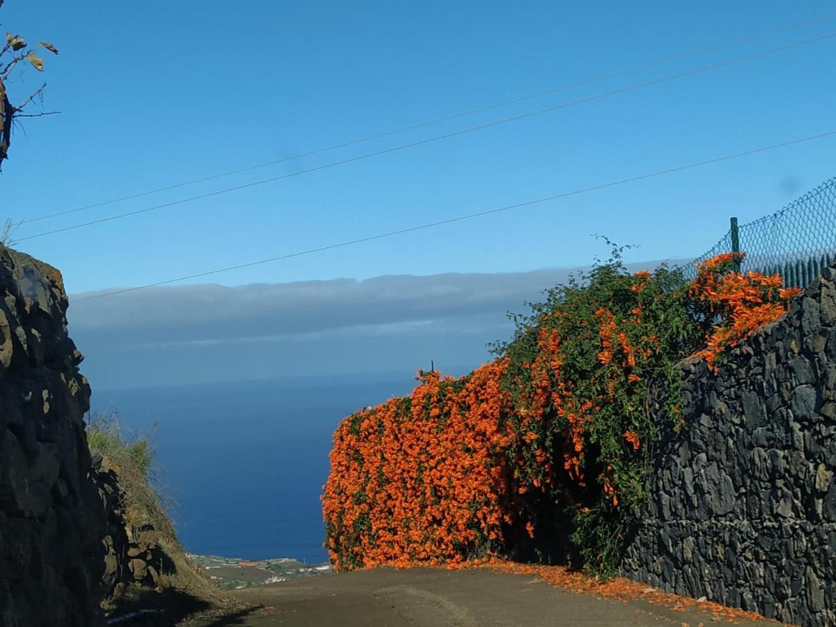 Finca Rural House Tenerife Relax And Enjoy Santa Úrsula Kültér fotó