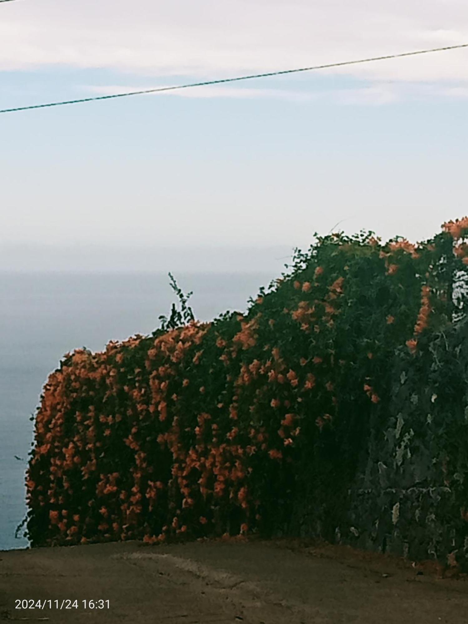 Finca Rural House Tenerife Relax And Enjoy Santa Úrsula Kültér fotó