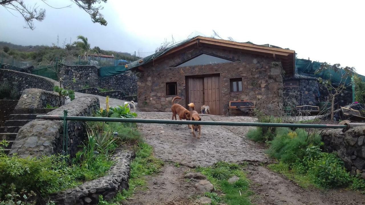 Finca Rural House Tenerife Relax And Enjoy Santa Úrsula Kültér fotó