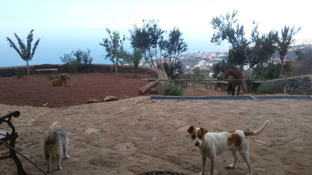 Finca Rural House Tenerife Relax And Enjoy Santa Úrsula Kültér fotó